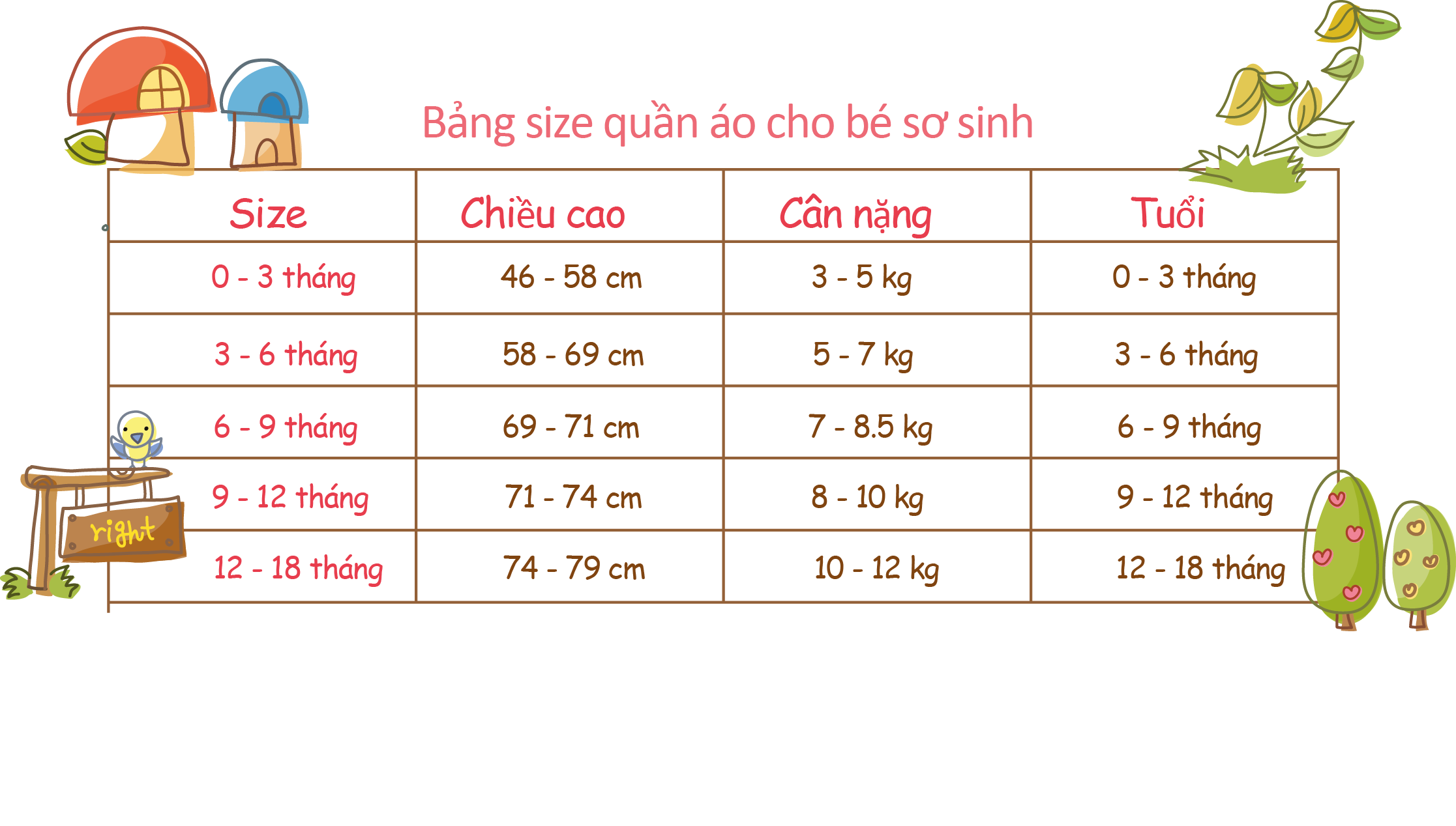 Size chuẩn sơ sinh