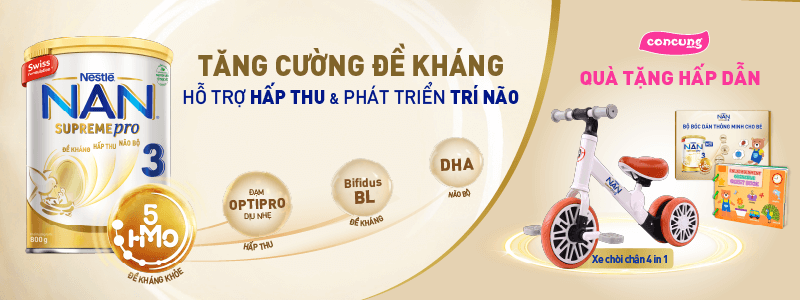 Nan – Main On Home tháng 01/2023