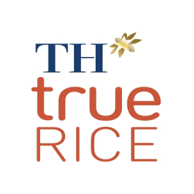 TH Rice