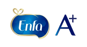 Enfa C-Sec