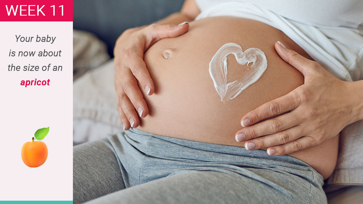 Lợi ích và hạn chế của việc tiến hành siêu âm 11 tuần trong quá trình mang thai.