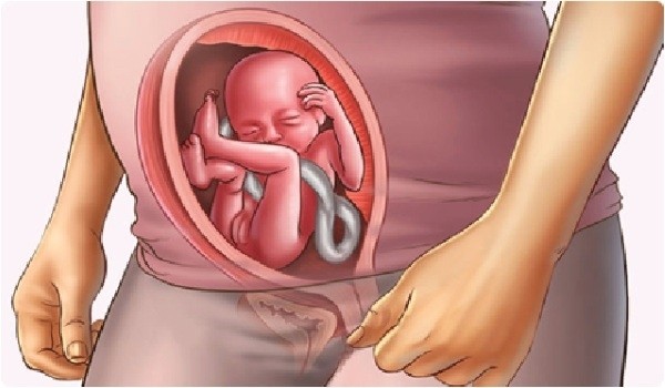 Những thắc mắc của mẹ bầu về thai nhi 17 tuần tuổi
