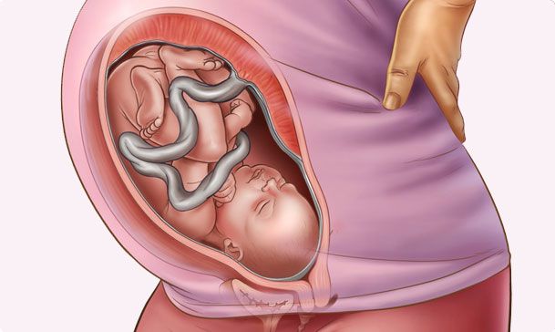 Sự phát triển của thai nhi 36 tuần