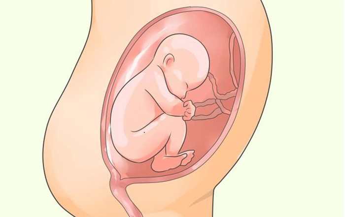 Mẹ mang thai tuần 38 bị thiếu ối có ảnh hưởng gì đến thai nhi?