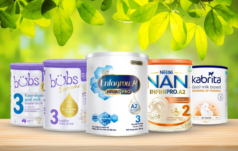 Top 5 sữa đạm A2 tốt cho hệ tiêu hóa của bé