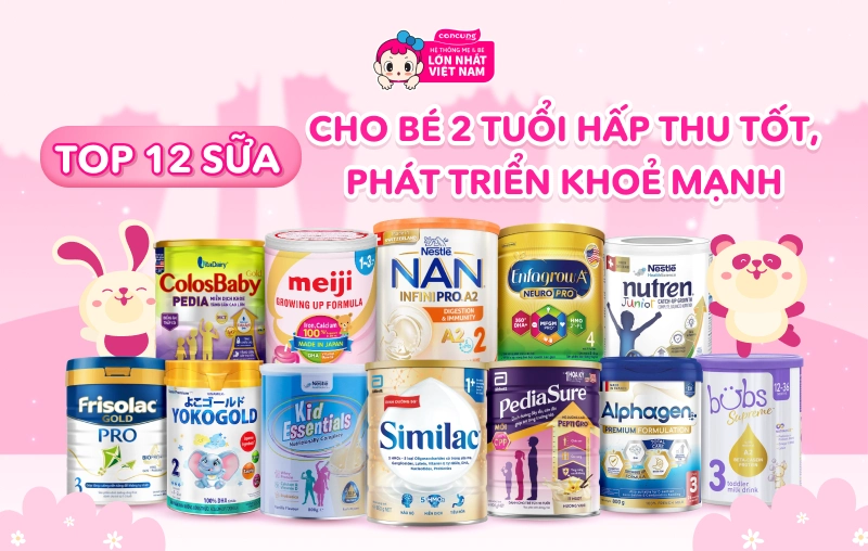 Top 12 sữa cho bé 2 tuổi hấp thu tốt, phát triển khỏe mạnh