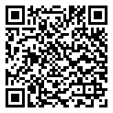 Tải App Ngay