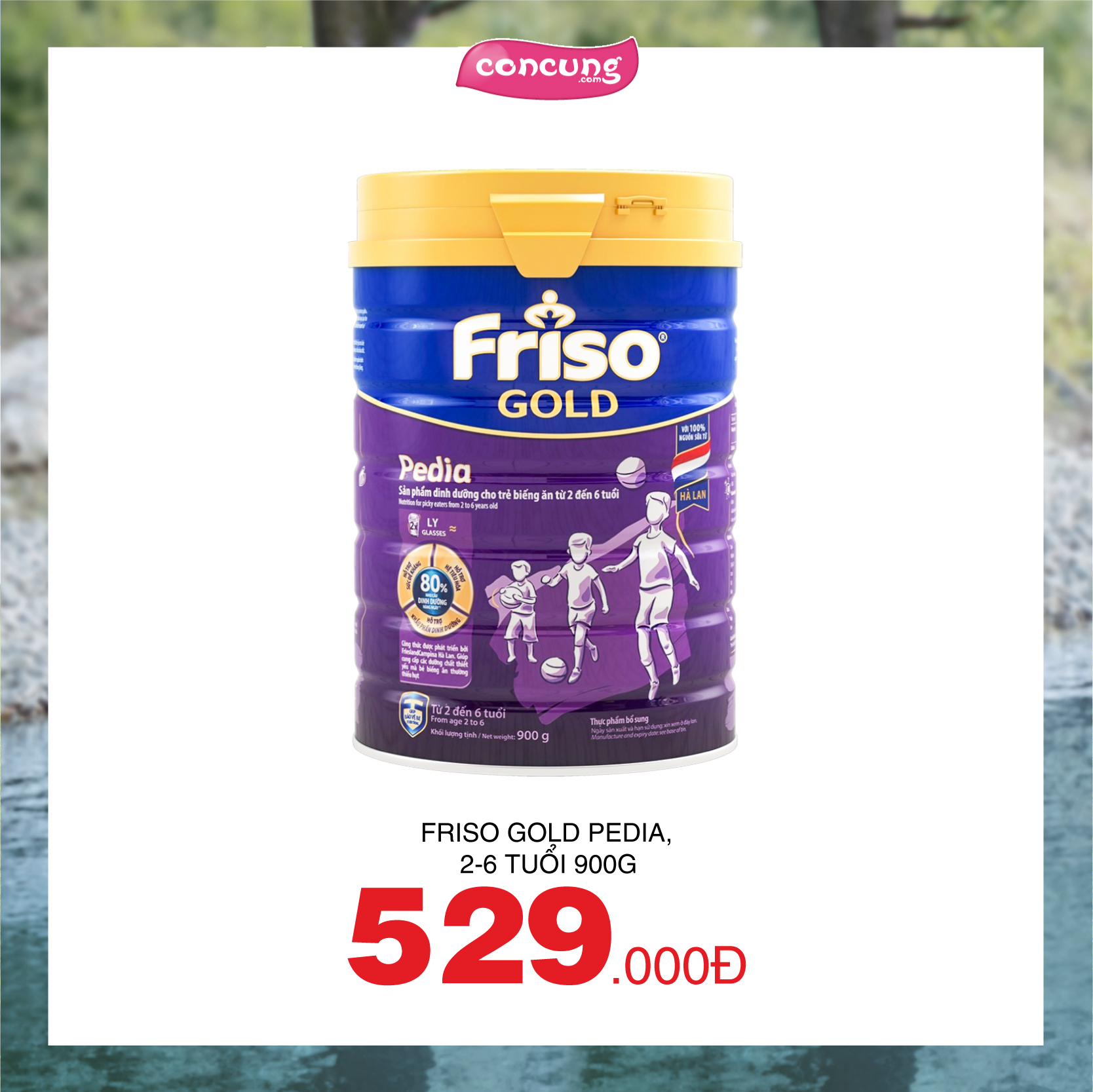 CC Digital 06_Friso-05