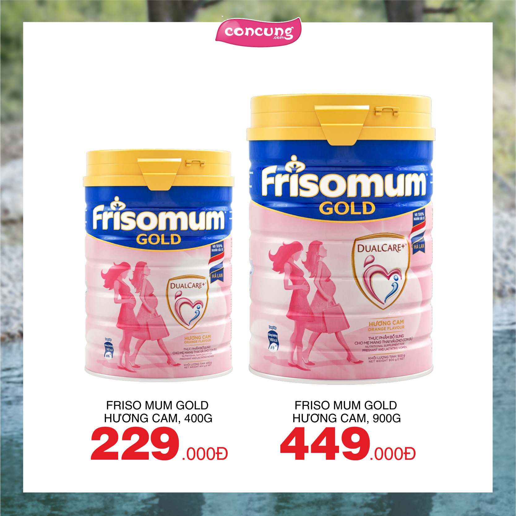 CC Digital 06_Friso-08