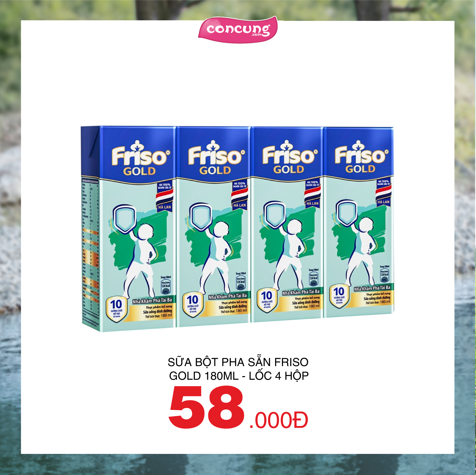 CC Digital 06_Friso-07